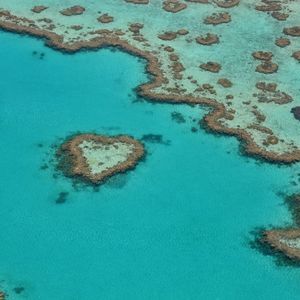 Meet your Posher, Vicki